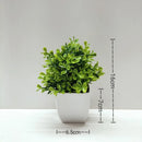 Artificial potted plant for office and garden decoration