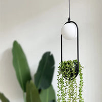 Retro iron pendant light with decorative plant and LED lighting