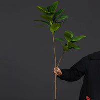 Large artificial magnolia plants for indoor garden decoration