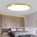 Modern LED ceiling chandelier 48W 36W 24W for bedroom, kitchen, bathroom, dining room lighting