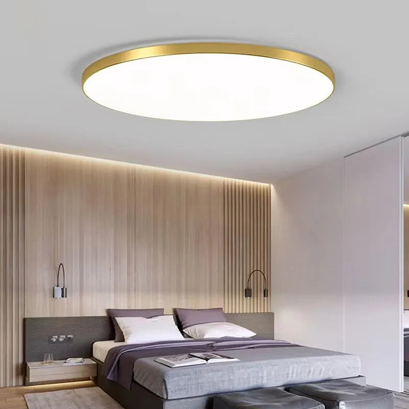 Modern LED ceiling chandelier 48W 36W 24W for bedroom, kitchen, bathroom, dining room lighting