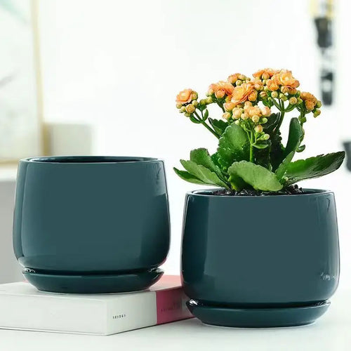 creative ceramic flower pot for indoor and outdoor decoration - vue 6 sur 9