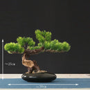 Artificial bonsai tree for indoor decoration and landscaping
