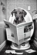 Humorous animal bathroom wall decoration