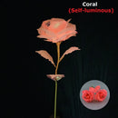 Luminous rose branch gift for Valentine's Day or Mother's Day