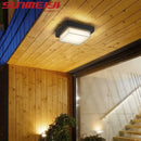 Modern waterproof outdoor ceiling light for garden and balcony