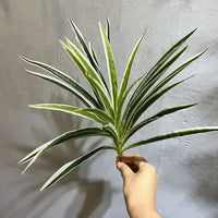 Artificial spider grass plant floral decoration wedding