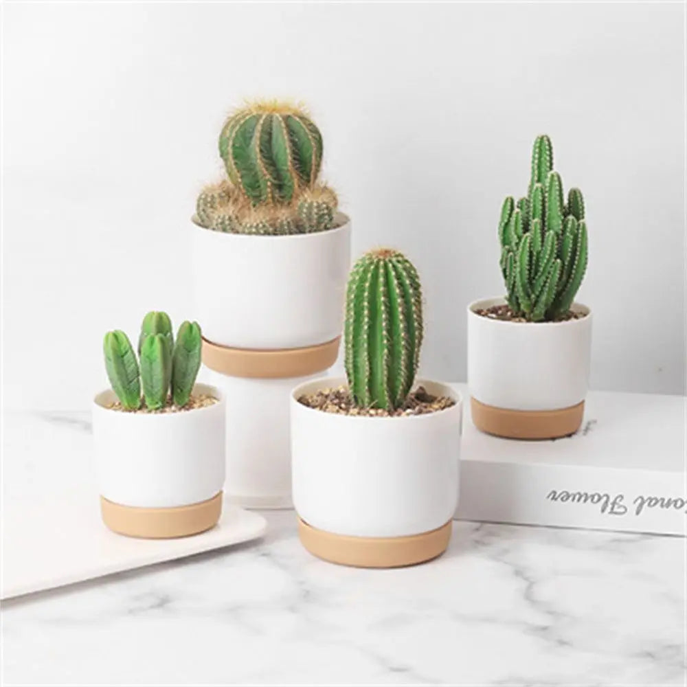Double layer automatic flower pot for succulent plants