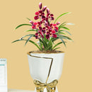 ceramic vase for decoration and artistic gifts
