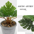 Decorative artificial turtle leaf plants for home and office