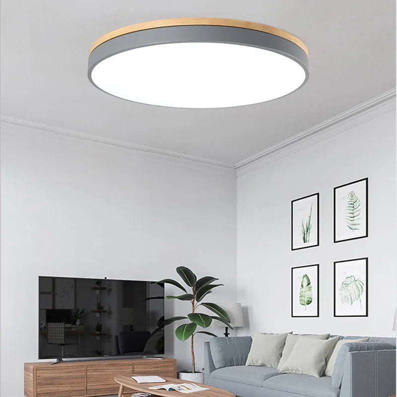 Natural LED ceiling lights for general lighting
