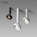 Minimalist spotlight for modern indoor and outdoor lighting