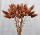 Dried bunny tail grass bouquet for festive decorations