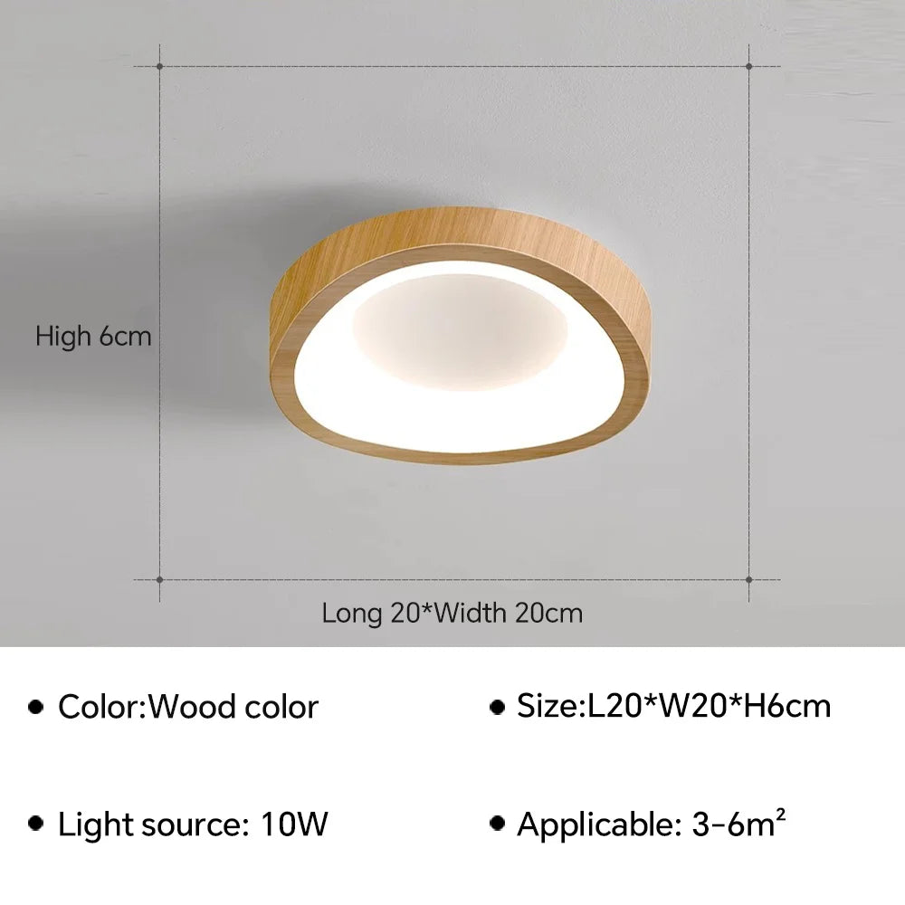 Nordic LED ceiling light for living room