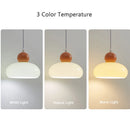 French art glass LED pendant lamp e27 bauhaus