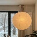 Nordic style LED pendant light for indoor decoration