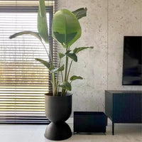 Elegant plant pots and garden decorations