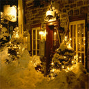 Copper wire string lights for party decoration