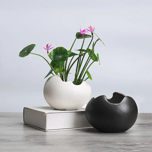 retro ceramic hydroponic flower pot for succulent plants - vue 2 sur 9