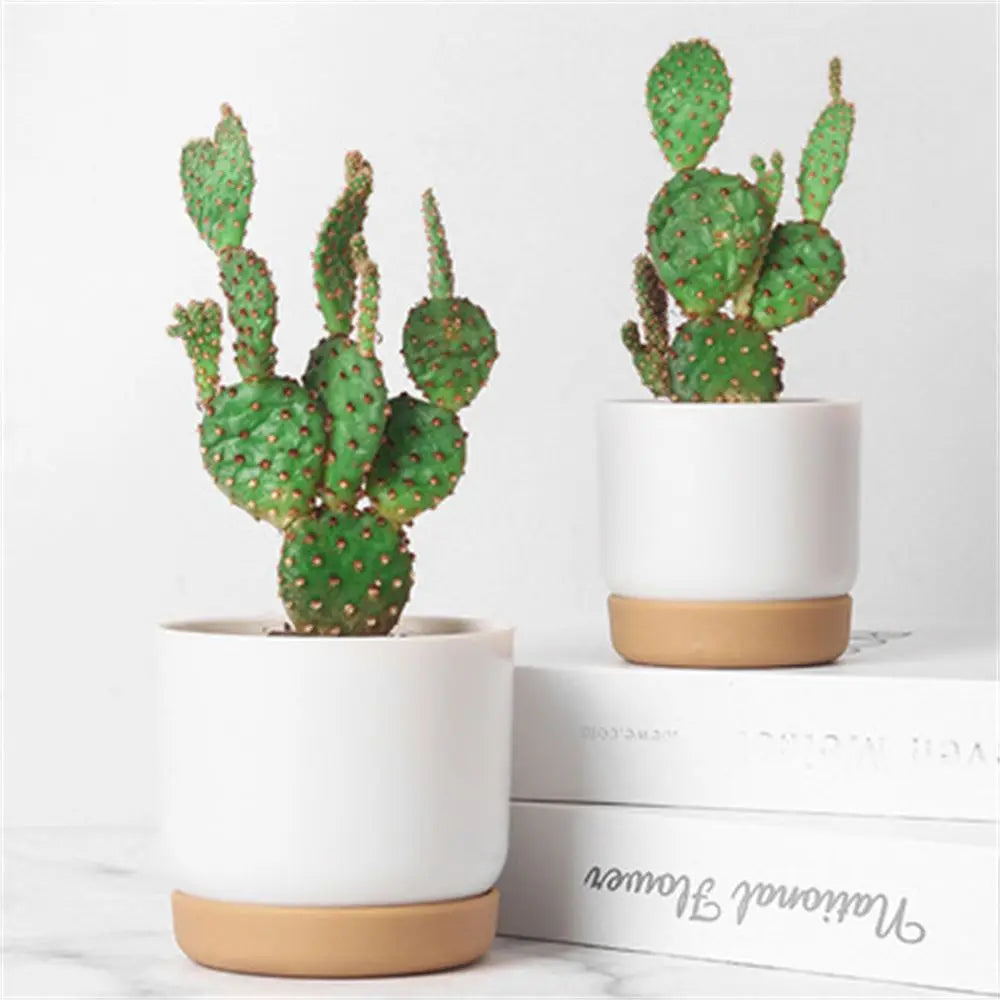 Double layer automatic flower pot for succulent plants