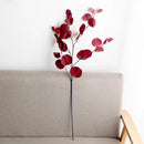 Artificial eucalyptus plant for autumn decor and DIY arrangements