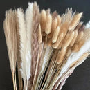 Set of 100 pampas grass bouquets for boho wedding decoration