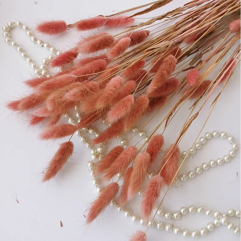 Dried bunny tail grass bouquet for festive decorations - vue 20 sur 23