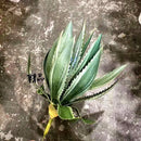 Artificial aloe vera succulents for indoor and outdoor decoration