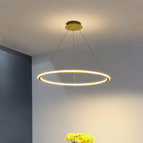 Modern LED pendant light for elegant interior decoration - vue 4 sur 22