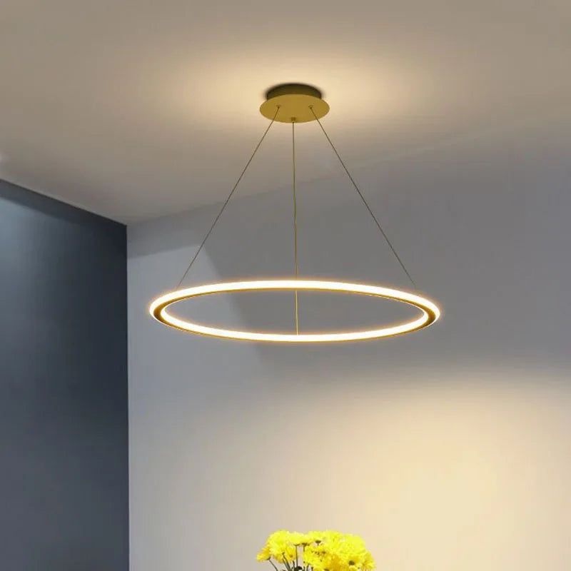 Modern LED pendant light for elegant interior decoration - vue 4 sur 22