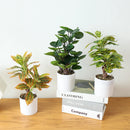 Artificial potted bamboo and monstera plant for home and office decor