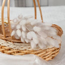 Dried bunny tail grass bouquet for festive decorations