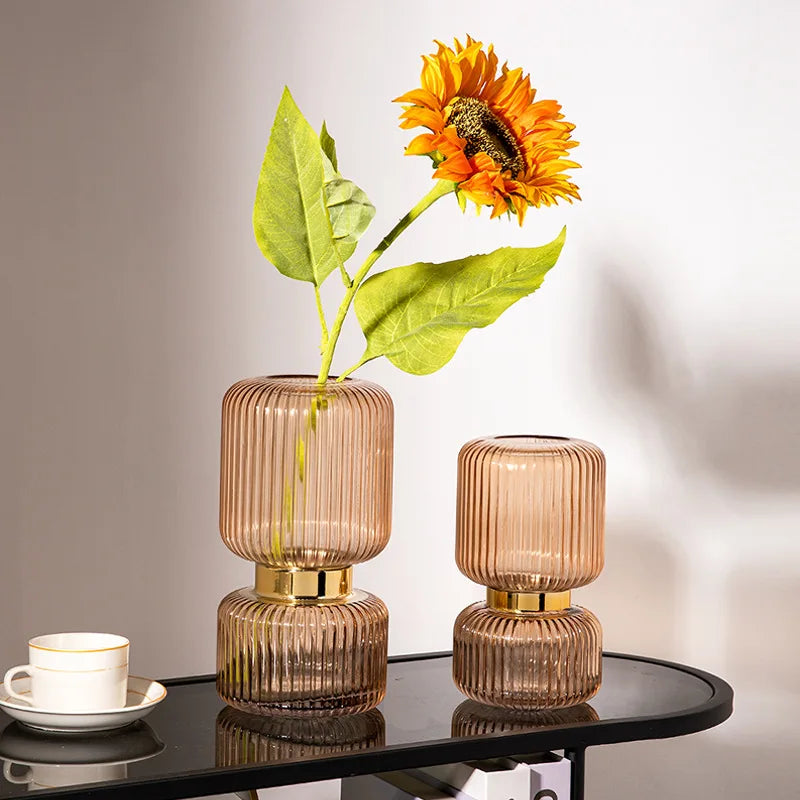 clear glass vase for flowers and hydroponic decoration