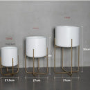 removable and freestanding gold flower stand for elegant plants