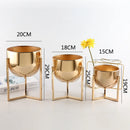 decorative vase for floral arrangements and living rooms