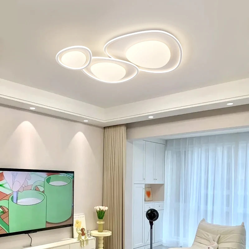 Modern minimalist LED ceiling light decorative indoor