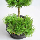 Chinese-style potted plant for indoor decoration