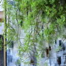 Artificial plastic vine plants for indoor and outdoor decoration