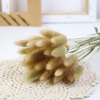 Dried bunny tail grass bouquet for festive decorations
