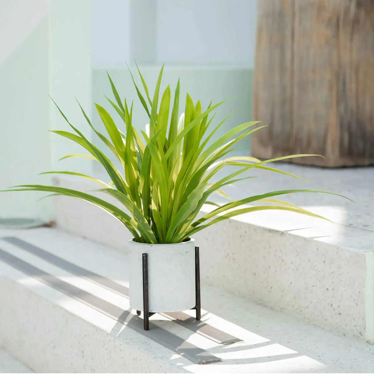 Artificial chlorophytum plants for indoor and outdoor decoration - vue 5 sur 7