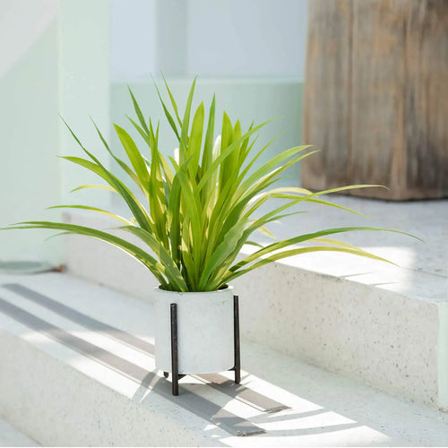 Artificial chlorophytum plants for indoor and outdoor decoration - vue 5 sur 7