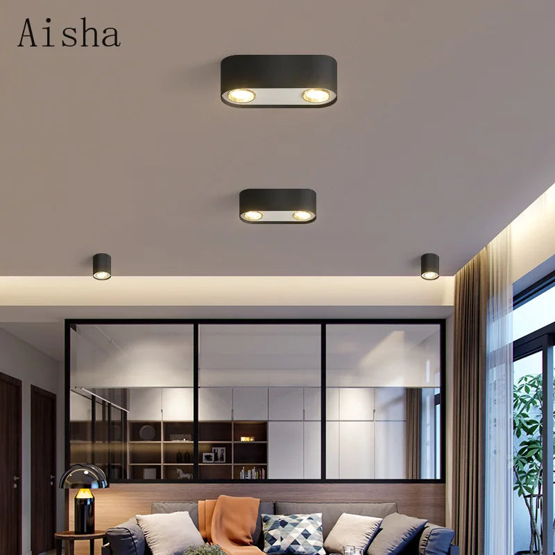 Double head recessed spotlight for indoor lighting