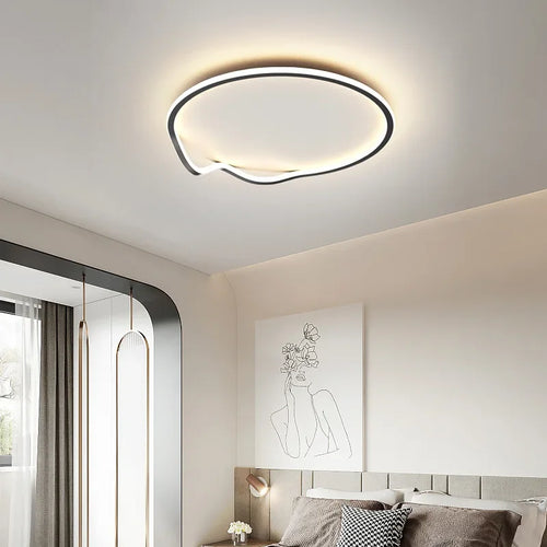 Nordic simple creative decorative LED ceiling light
