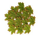 Set of 50 maple leaf decorations for parties and events
