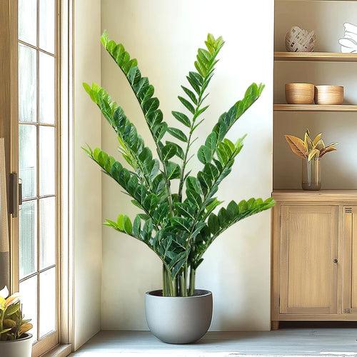 Artificial tropical money tree realistic decorative plastic plant - vue 3 sur 13