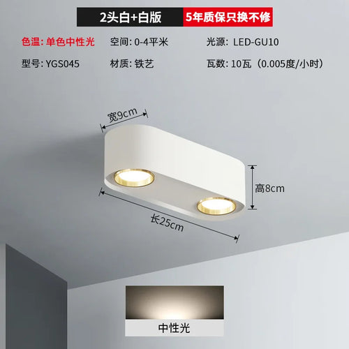 Double head recessed spotlight for indoor lighting - vue 10 sur 14