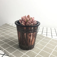 retro resin flower pot for hydroponics
