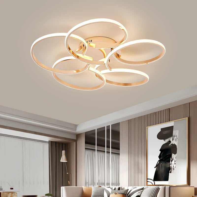 Modern creative design LED ceiling light for indoor use