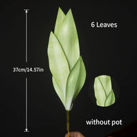 Artificial succulent plants in plastic for indoor decoration