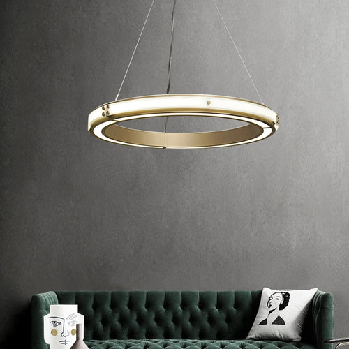 Modern iron pendant light for elegant interior decor - vue 2 sur 7